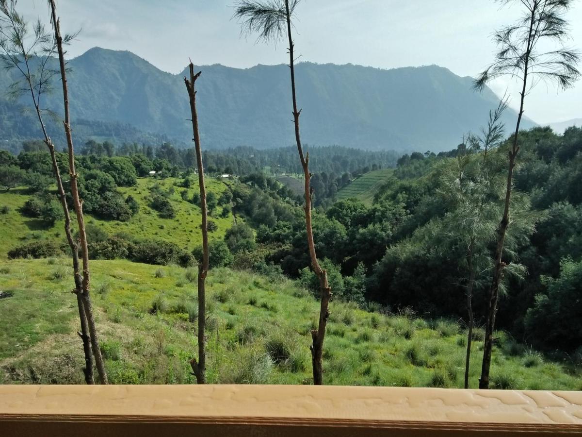 Lava View Lodge Bromo Luaran gambar